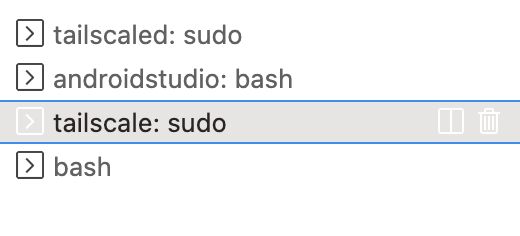 Tailscale tab