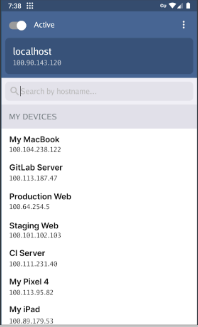 tailscale app