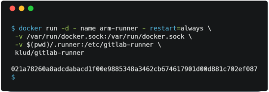 Docker Run2