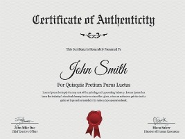 certificate of authenticity certificate of authenticity